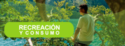 Consumo y recreación 